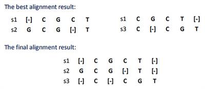 Efficient Multiple Sequences Alignment Algorithm Generation via Components Assembly Under PAR Framework